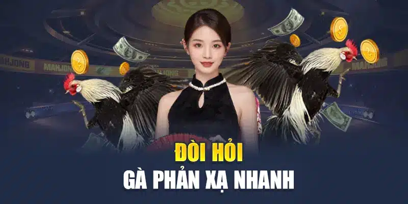 Đá Gà Mộc Bài M88 - Sân Chơi Đỉnh Cao Cho Dân Đam Mê 2 Đòi hỏi gà phản xạ nhanh